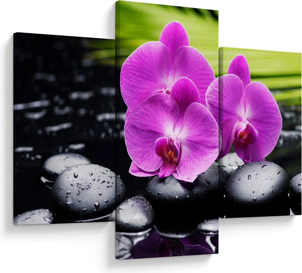 Obraz - Orchidey (90x60 cm)