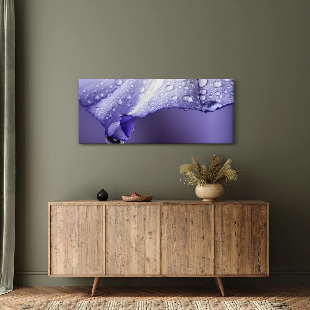 Obraz - Okvetný lístok s kvapkami (120x50 cm)
