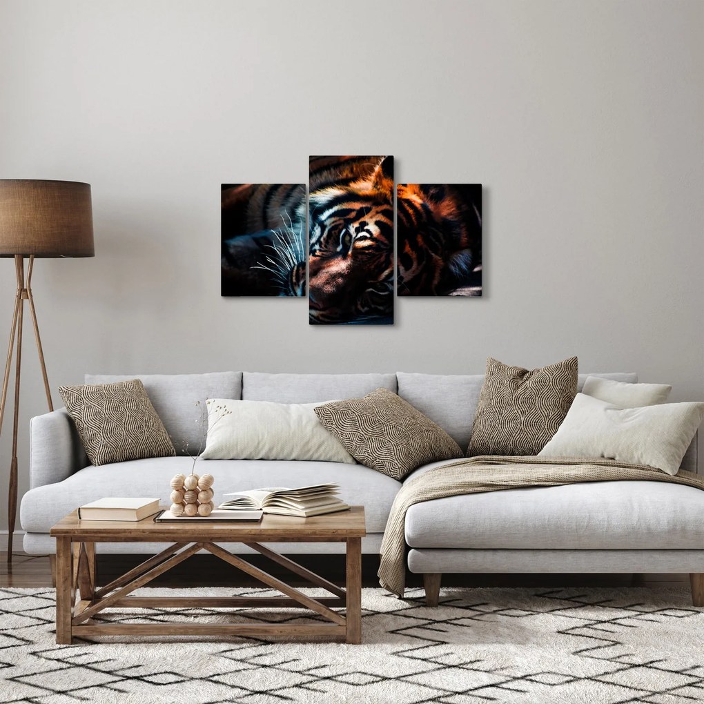 Obraz ležiaceho tigra (90x60 cm)