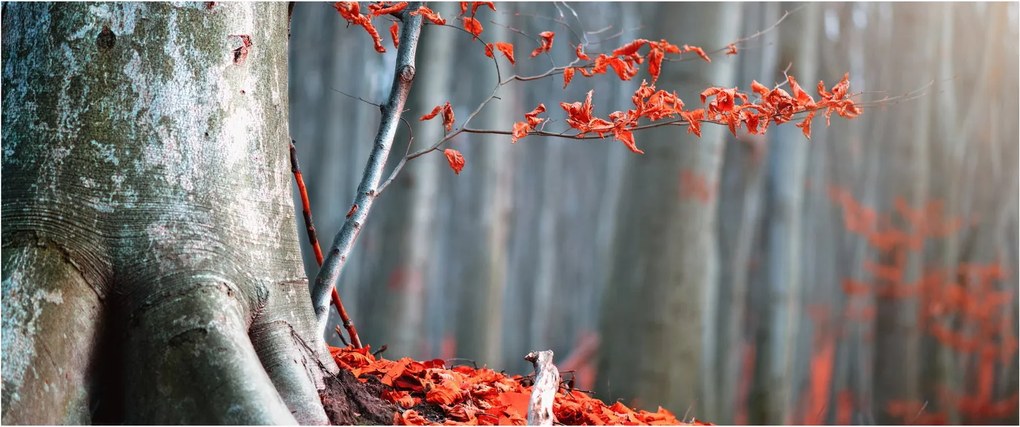 Obraz - Jeseň (120x50 cm)
