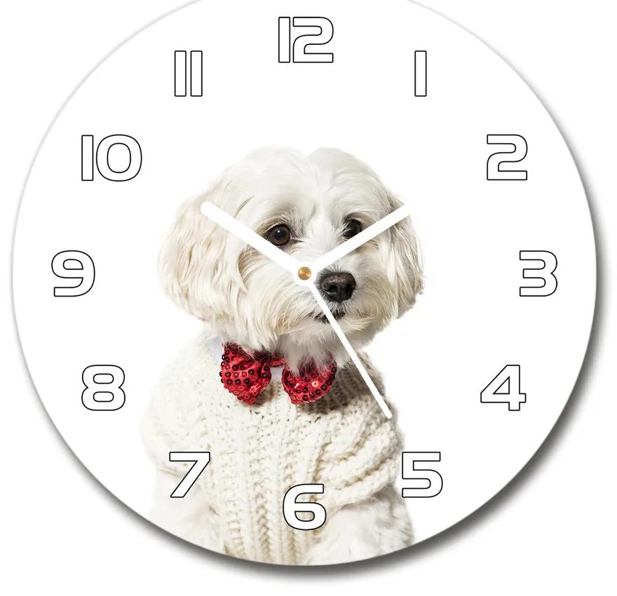 Sklenené hodiny okrúhle Maltázský psík pl_zso_30_f_190626474