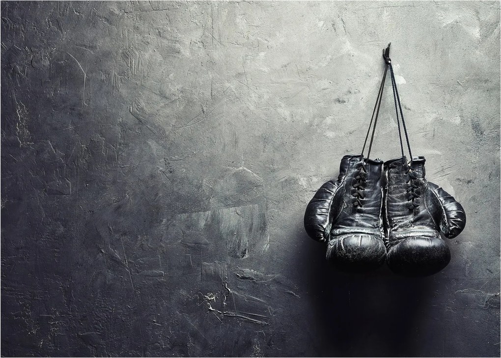 Obraz boxerských rukavíc (70x50 cm)