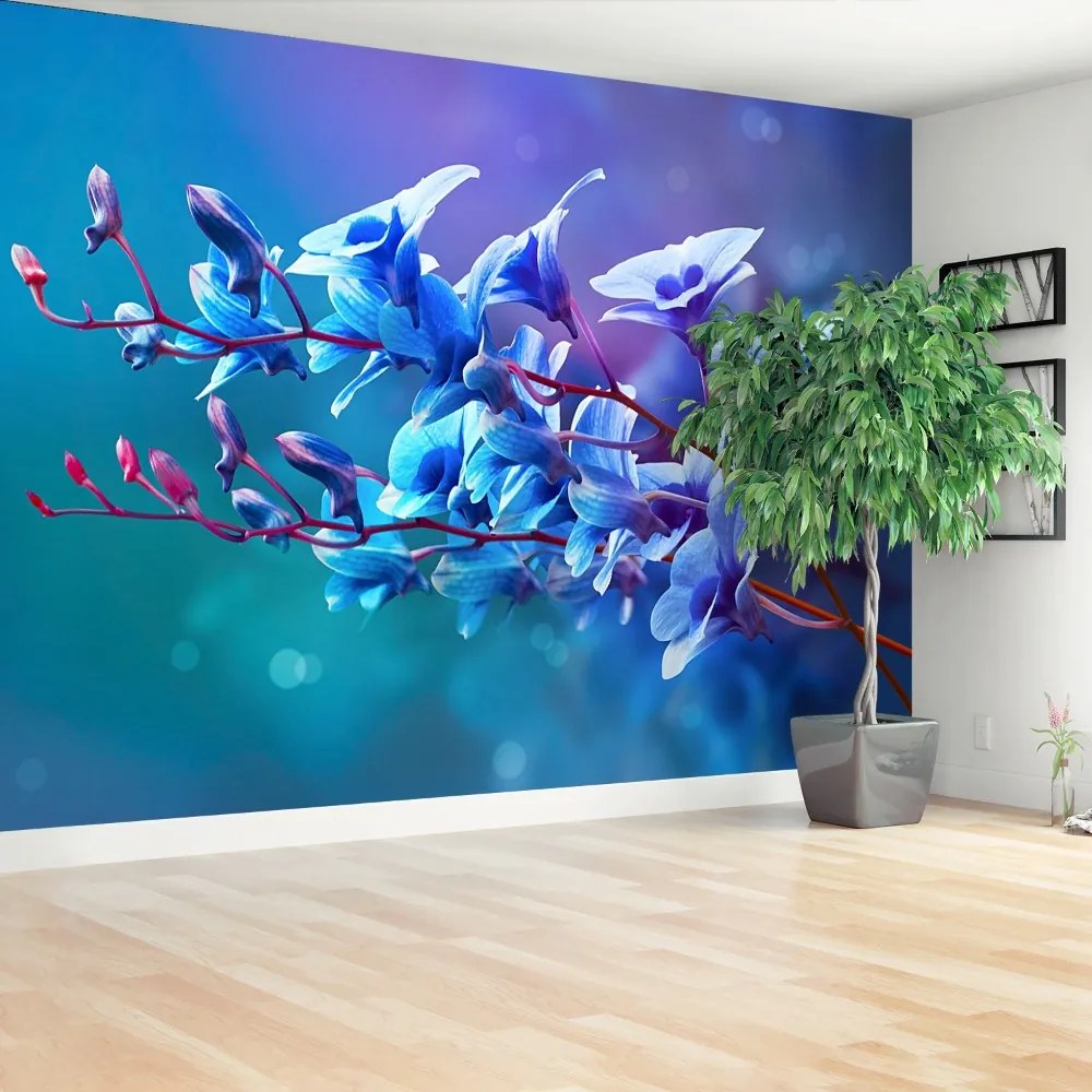 Fototapeta Vliesová Modrá orchidea 312x219 cm