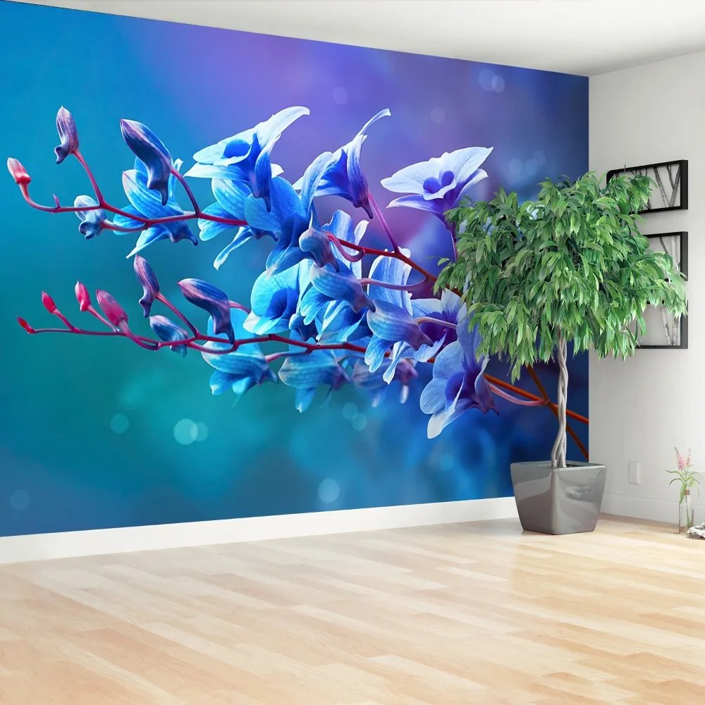 Fototapeta Vliesová Modrá orchidea 416x254 cm