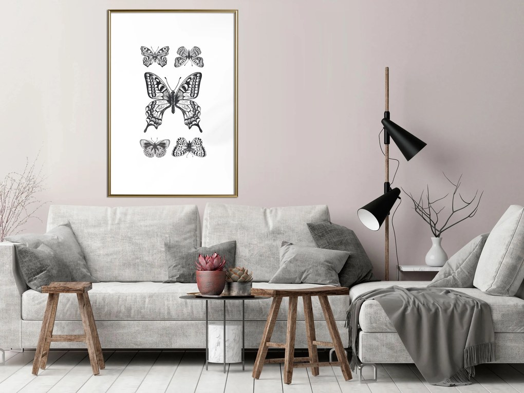 Artgeist Plagát - Five Butterflies [Poster] Veľkosť: 30x45, Verzia: Čierny rám s passe-partout