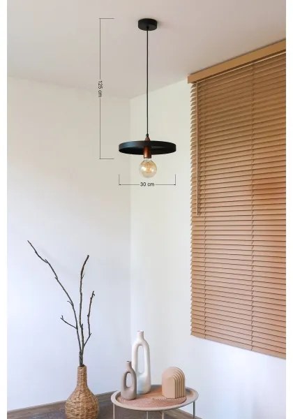 Duolla - Závesné svietidlo IRONLINE na lanku 1xE27/15W/230V, Ø 30 cm, čierna/medená