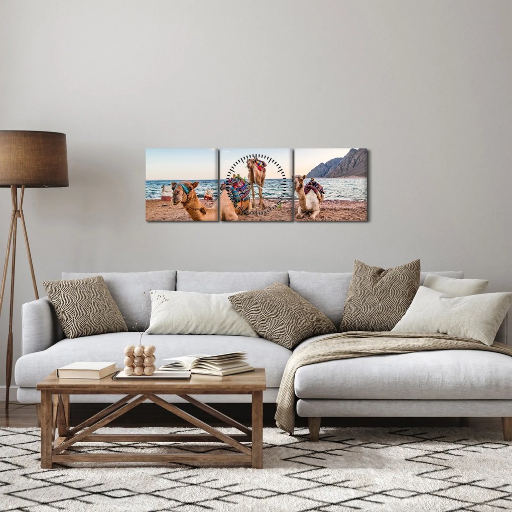 Obraz tiav (s hodinami) (90x30 cm)