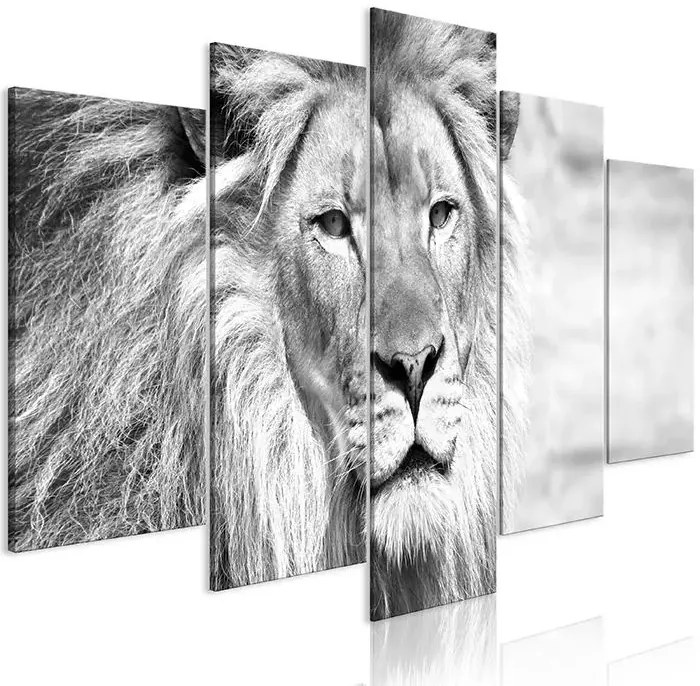 Obraz - The King of Beasts (5 Parts) Wide Black and White Veľkosť: 100x50, Verzia: Premium Print