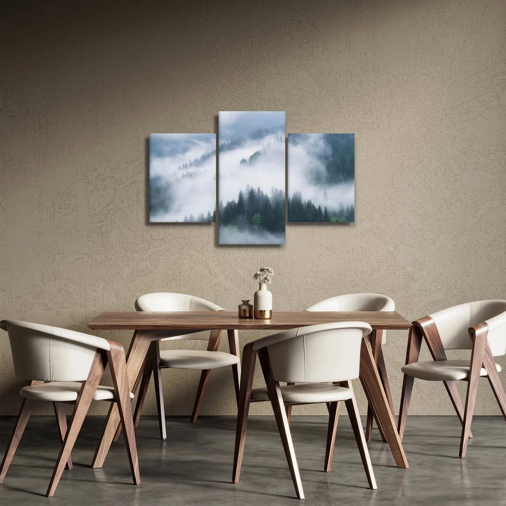 Obraz - Stromy v hmle (90x60 cm)