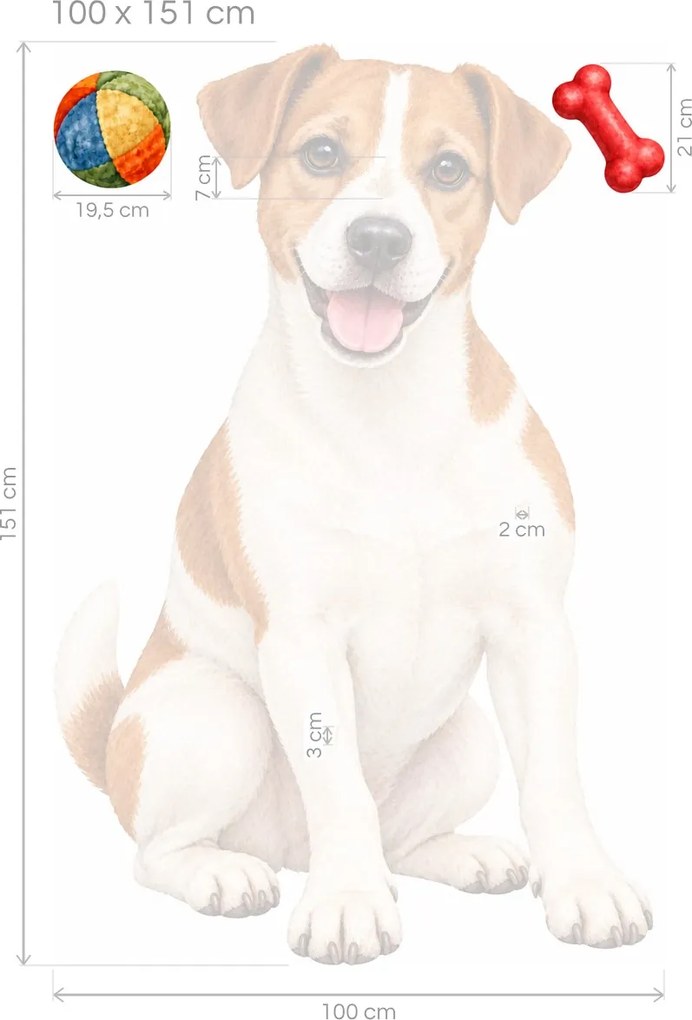 Usmievavý Jack Russell teriér realistické textilné nálepky na stenu pre milovníkov teriérov arch 30 x 46 cm