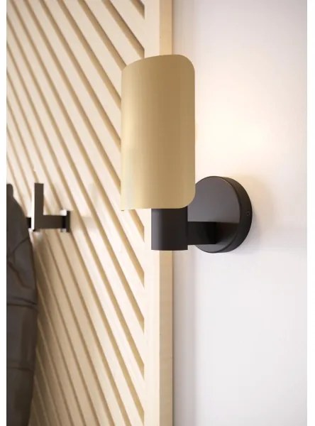 Eglo 900375 - Nástenné svietidlo HAYES 1xE27/40W/230V