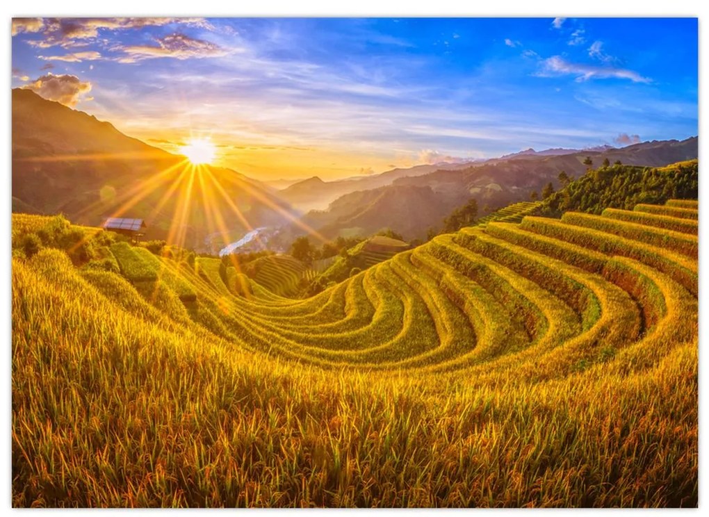 Sklenený obraz - Ryžové terasy vo Vietname (70x50 cm)