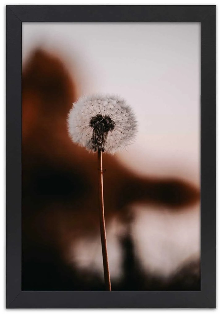 Gario Plagát Osamelá rybka Farba rámu: Bez rámu, Rozmery: 30 x 45 cm