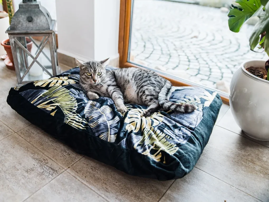 Mäkký vankúš pre psa ROYAL PET 75x60 cm, vzorovaný