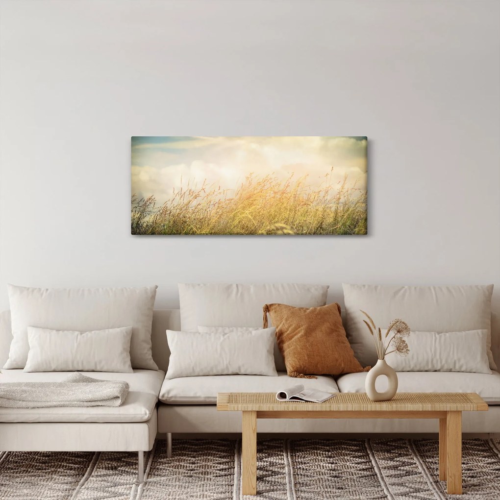 Obraz - Pole na jeseň (120x50 cm)