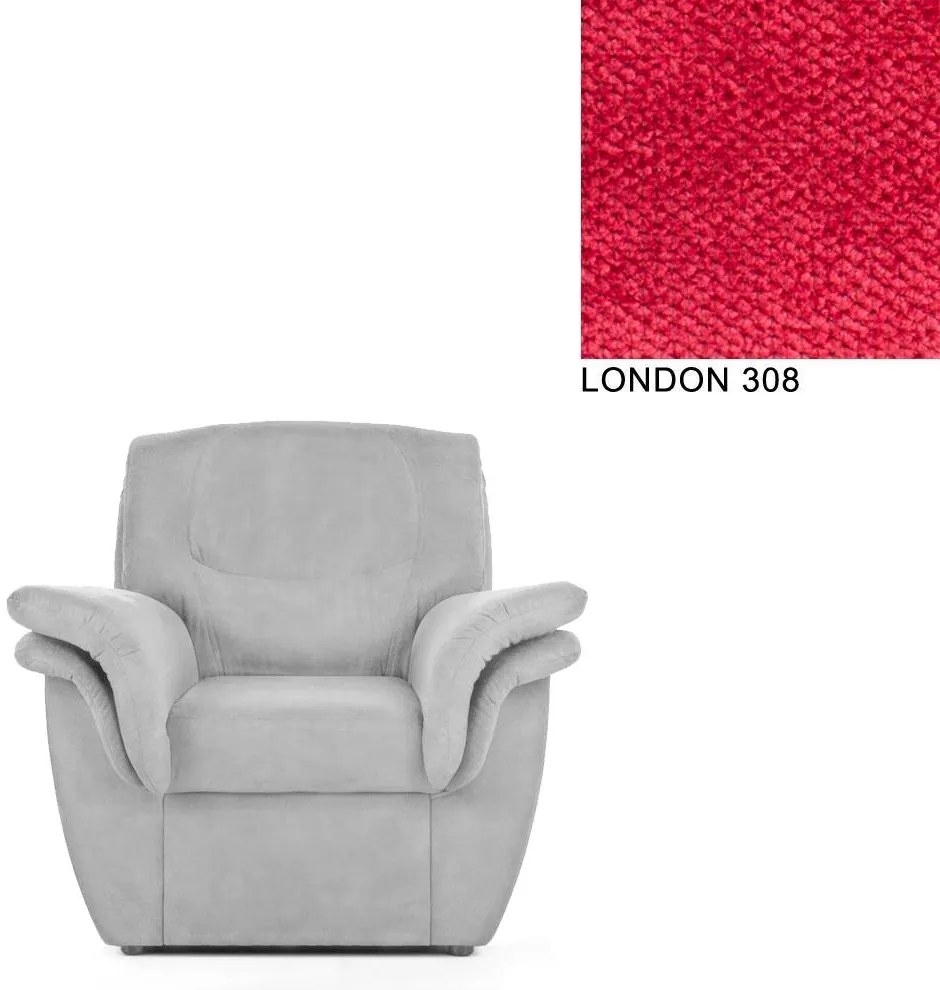 AVA PROVAN 1ALR Varianta: ROSARIO 461