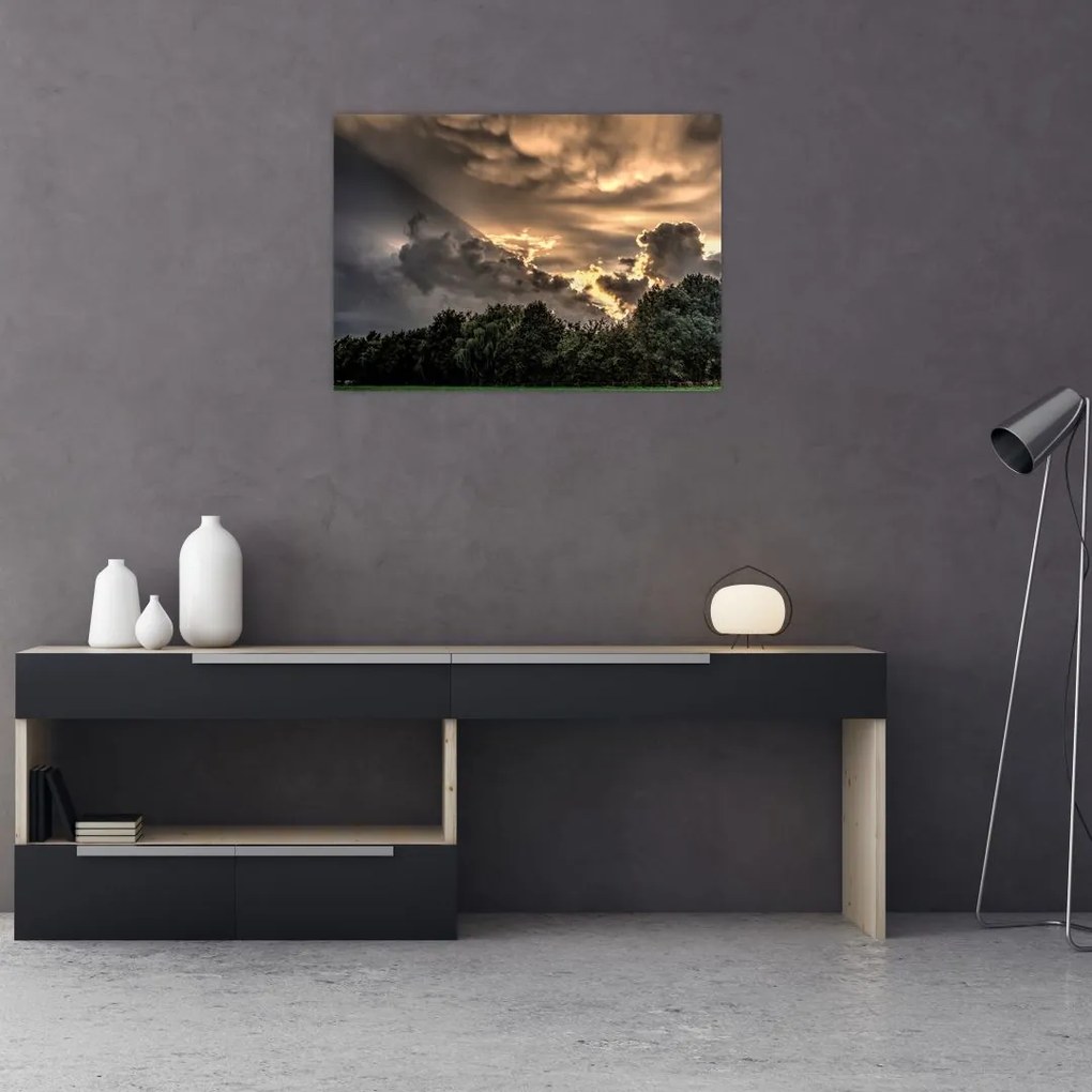 Obraz mračien a lesa (70x50 cm)