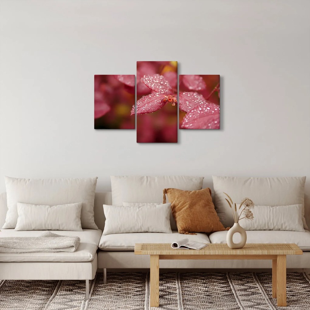 Obraz - Makro snímka lístka (90x60 cm)