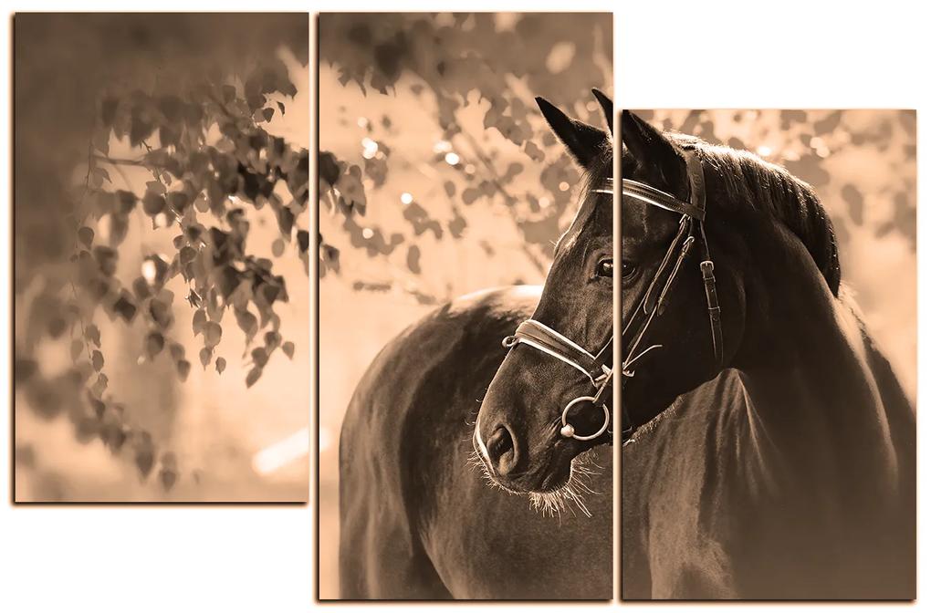 Obraz na plátne - Čierny kôň 1220FD (135x90 cm)