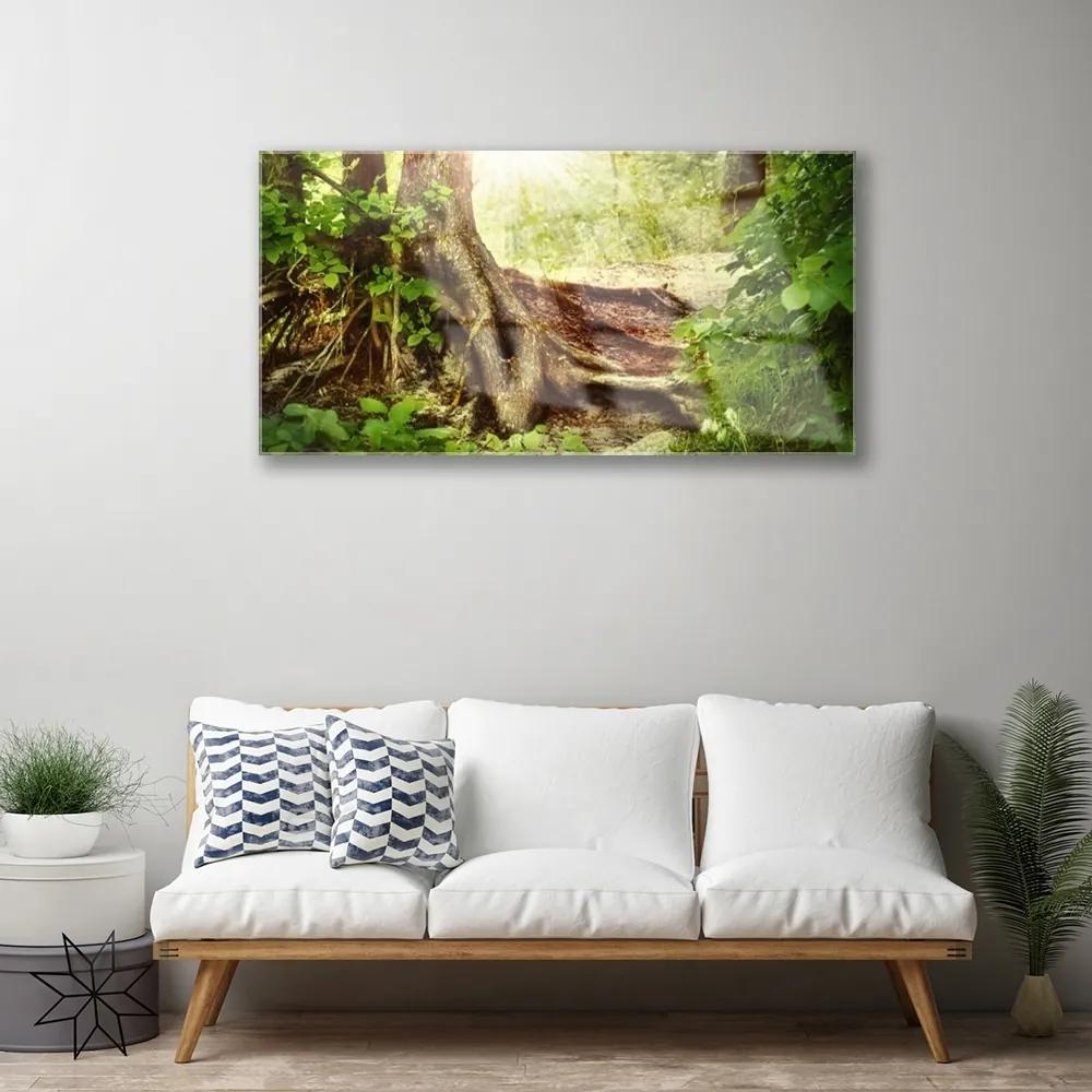 Obraz plexi Strom kmeň príroda les 100x50 cm
