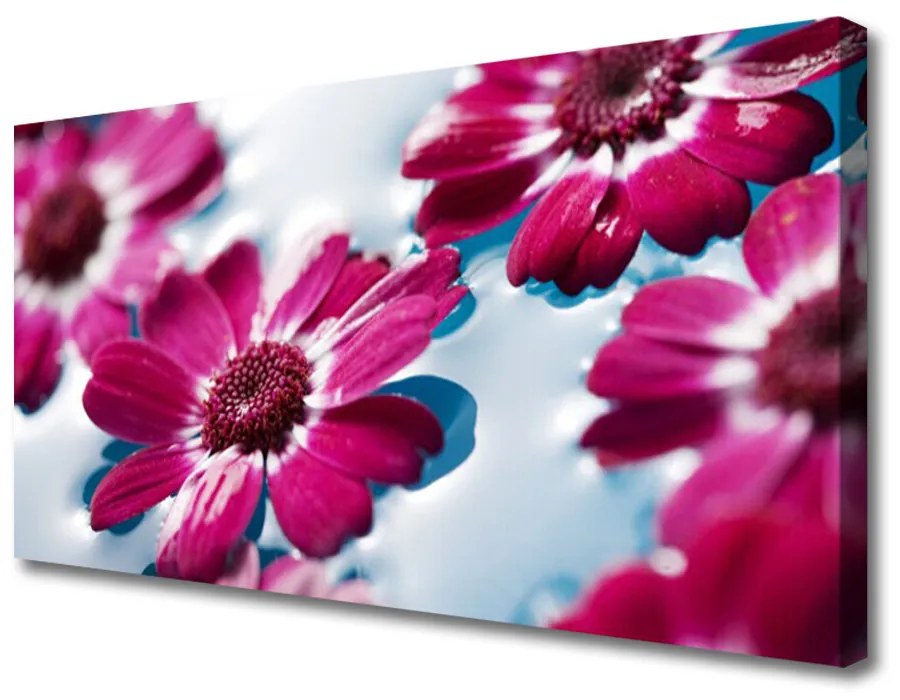 Obraz Canvas Kvety na vode príroda 100x50 cm