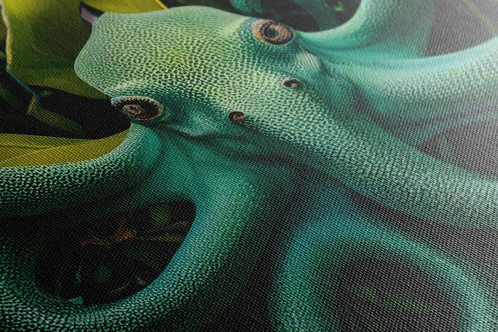 Obraz surrealistická chobotnica Varianta: 40x60