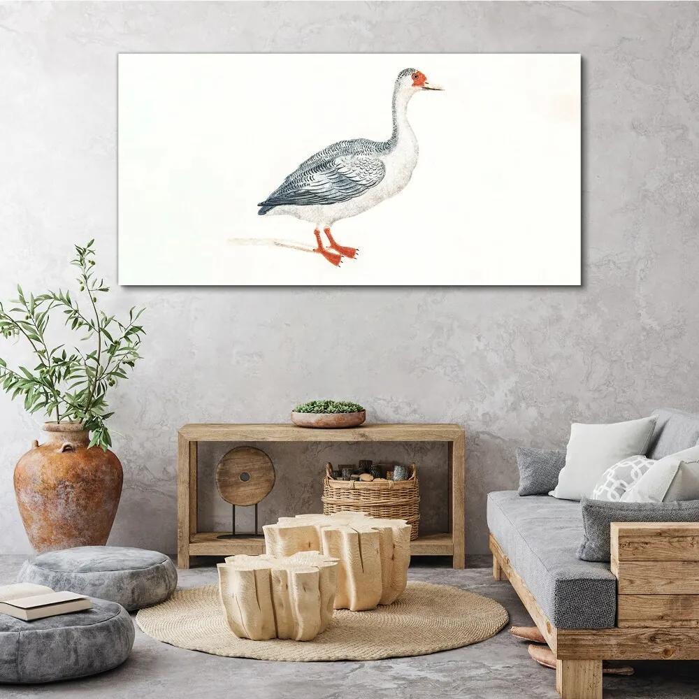 Obraz na plátne Zvieracie vták hus