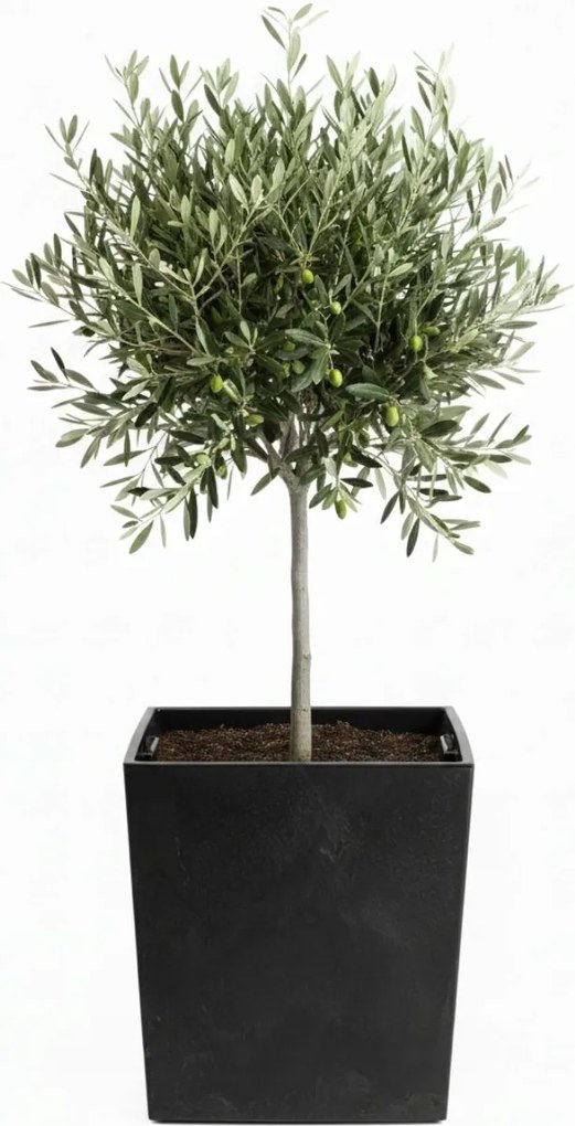 Sada 3 ks květináčů Walter černý beton