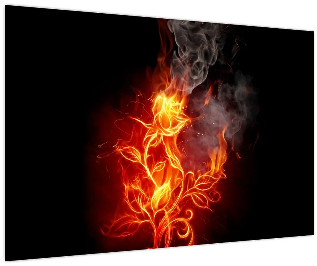 Obraz - Ruže v ohni (90x60 cm)