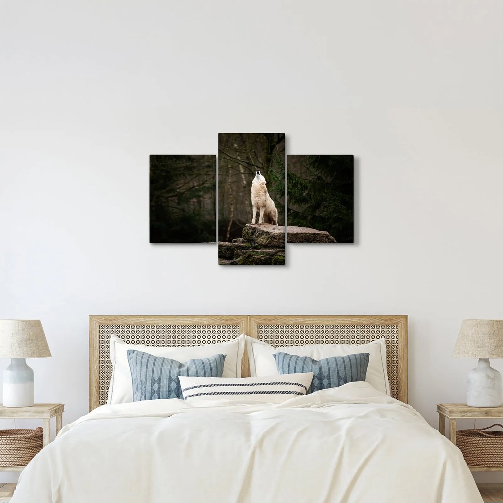 Obraz - Vytie vlka (90x60 cm)