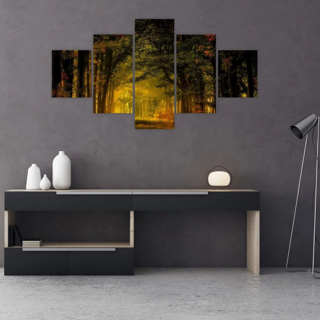 Obraz lesu (125x70 cm), 40 ďalších rozmerov