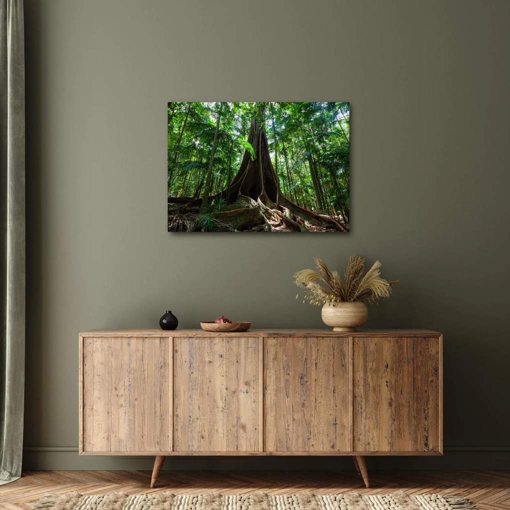 Obraz - Korene stromu (70x50 cm)
