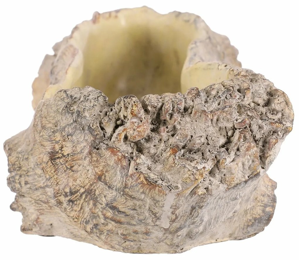 Kvetináč vykotlaný koreň, 35 x 16 x 11 cm, betón