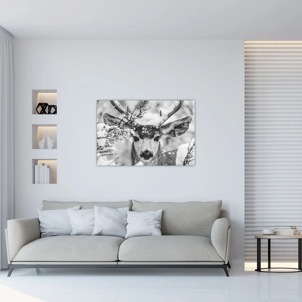 Obraz - Jeleň v zime (90x60 cm)
