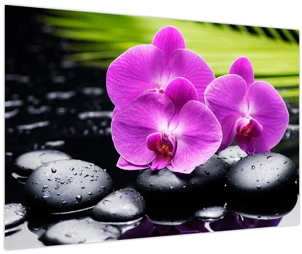Obraz - Orchidey (90x60 cm)