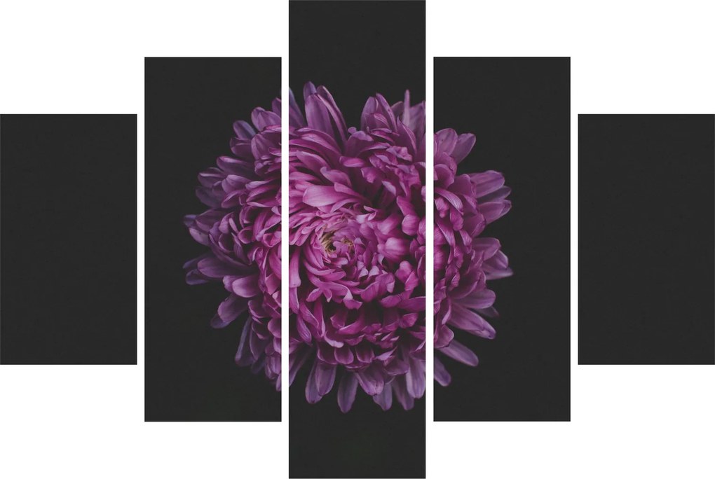 Obraz fialovej kvetiny (150x105 cm)