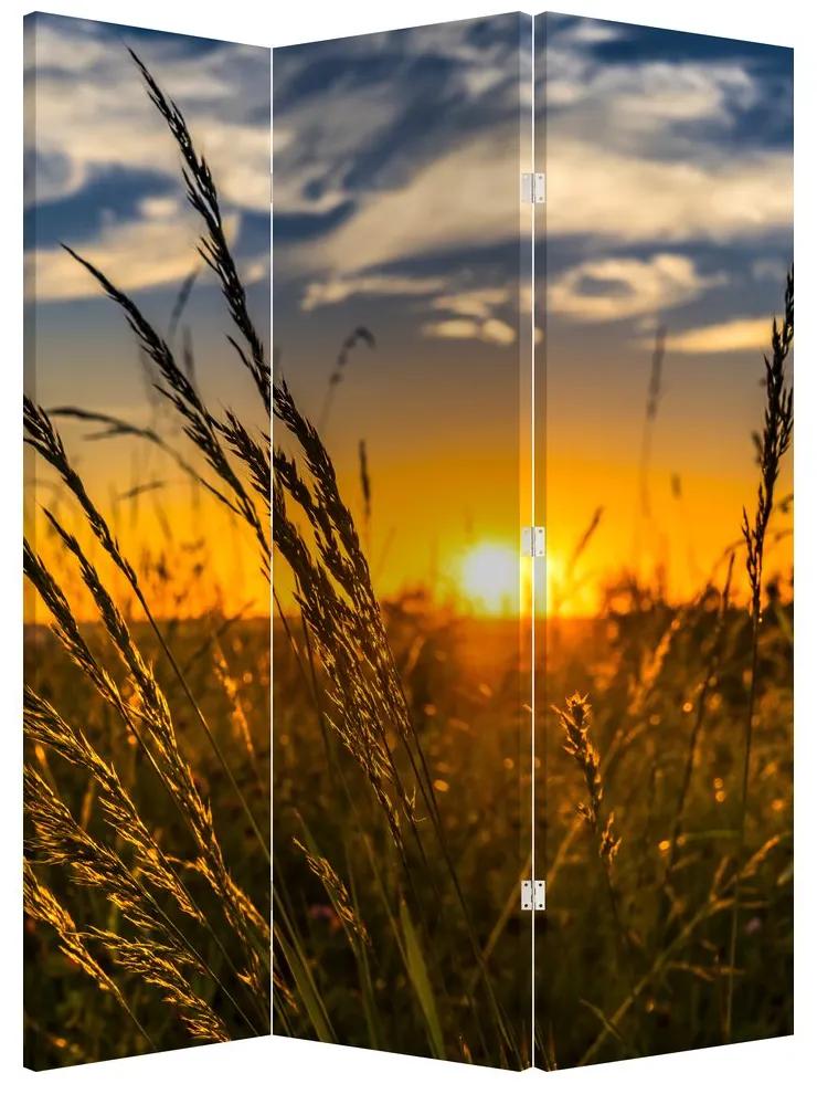 Paraván - Pole pri západe slnka (126x170 cm)