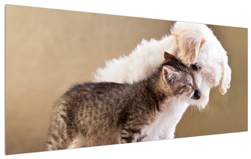 Obraz mačky so psom (120x50 cm)