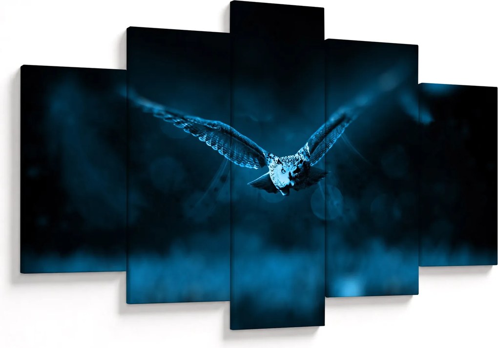 Obraz letiacej sovy (150x105 cm)