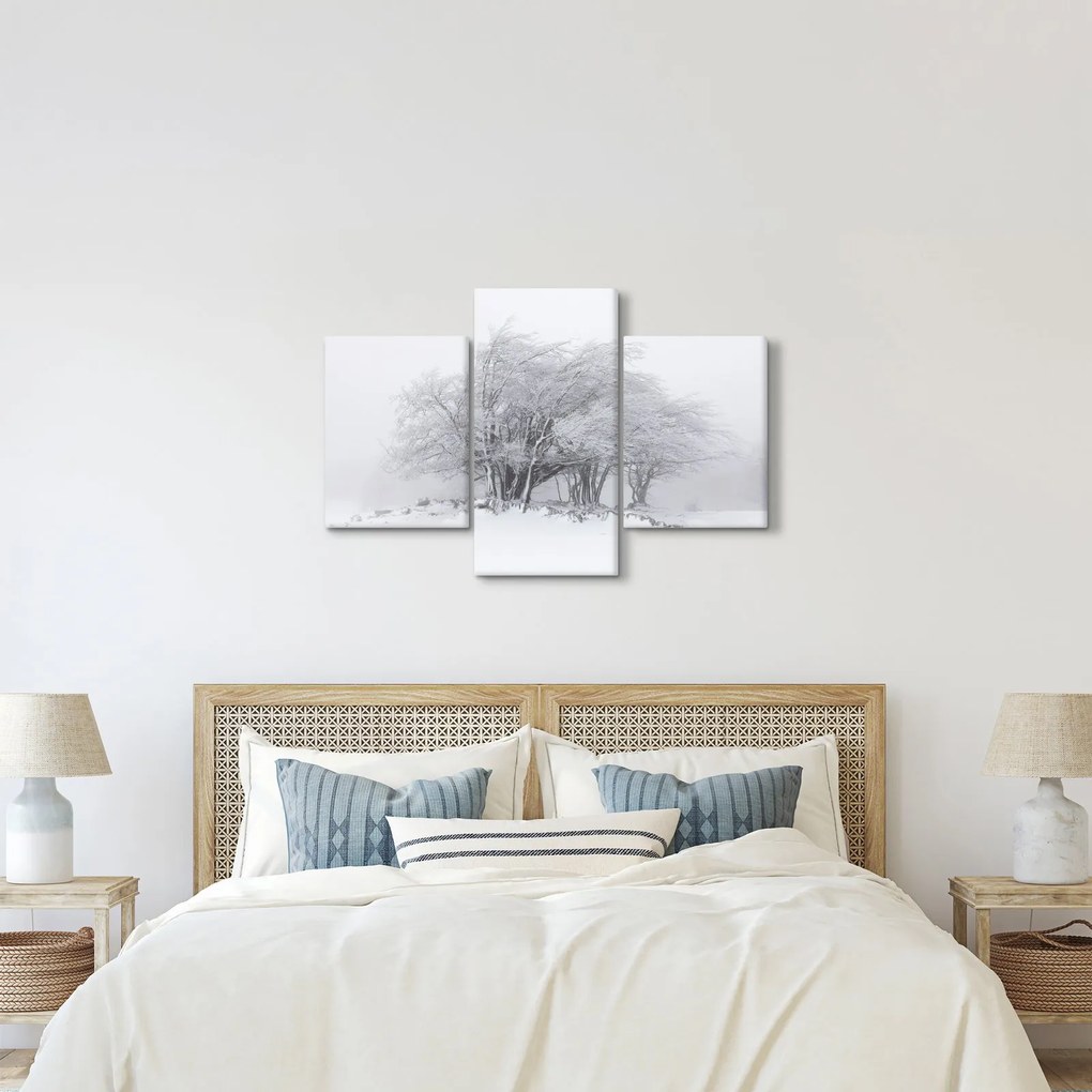 Obraz - Biela zima (90x60 cm)