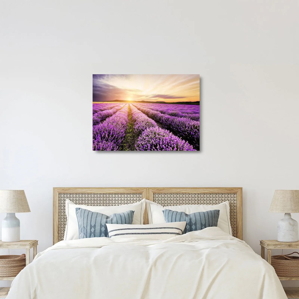 Sklenený obraz - Východ slnka v levanduľovom poli (70x50 cm)