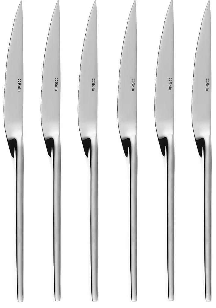 Steakové nože v magnetickom boxe set 6 ks – Beta - 118139