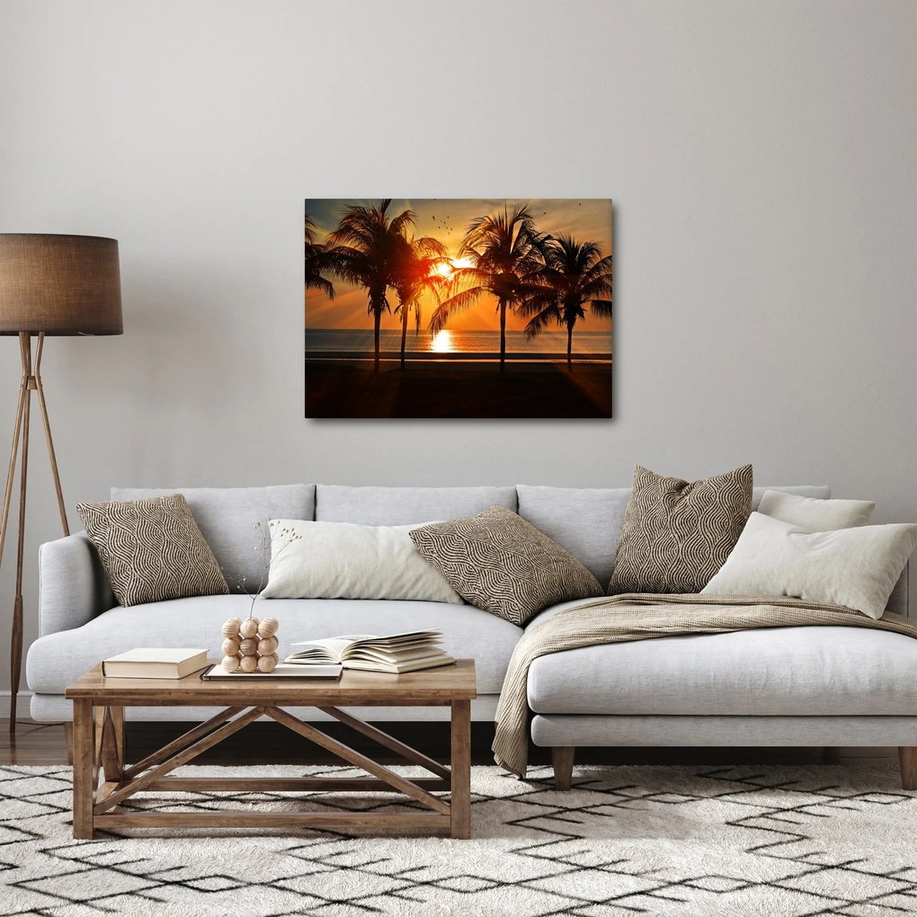 Obraz palmy v západe slnka (70x50 cm)