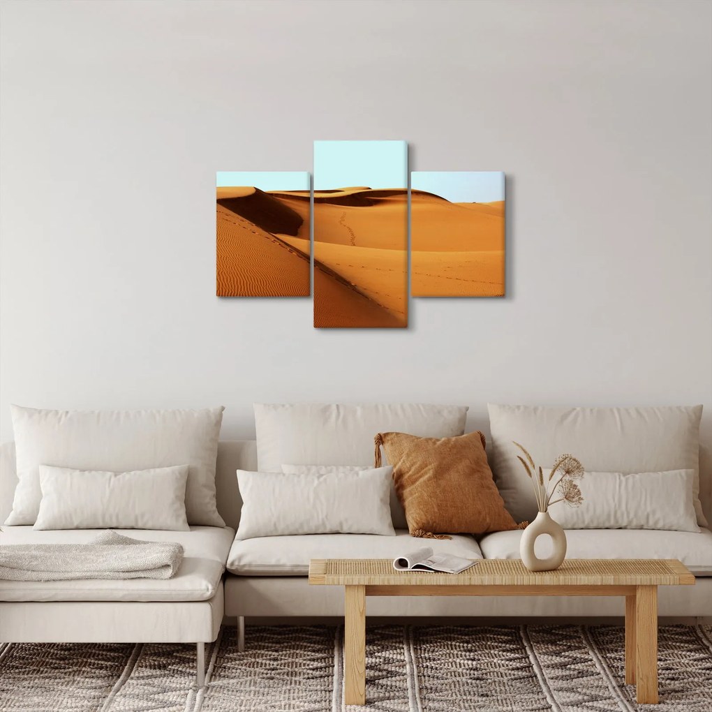 Obraz - Stopy v púšti (90x60 cm)