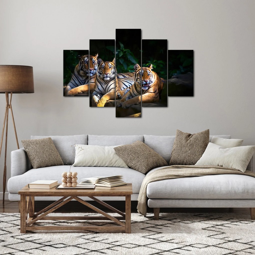Obraz - Tigrii bratia (150x105 cm)