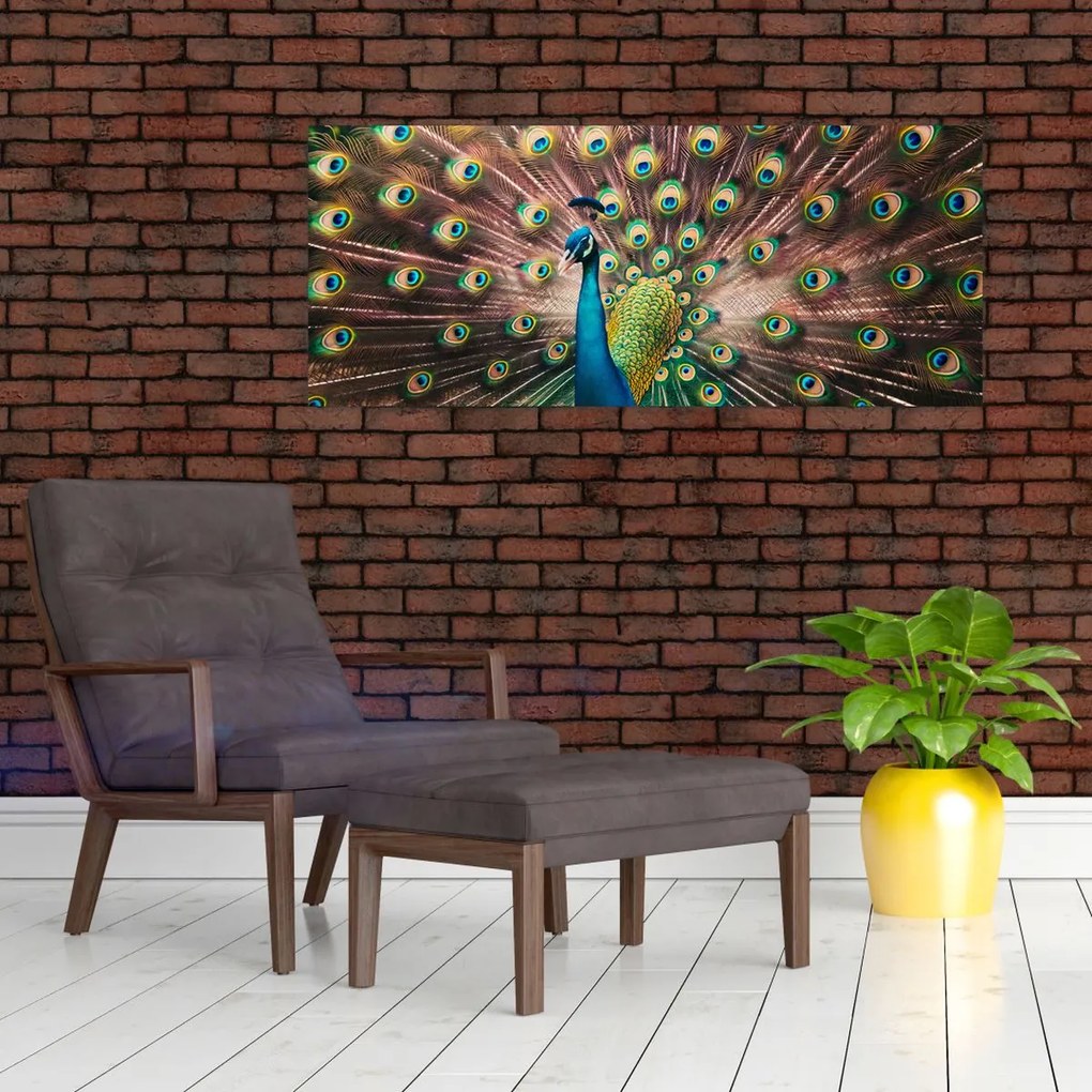 Obraz - Páv (120x50 cm)