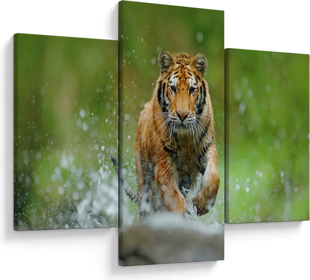 Obraz - Bežiaci tiger (90x60 cm)