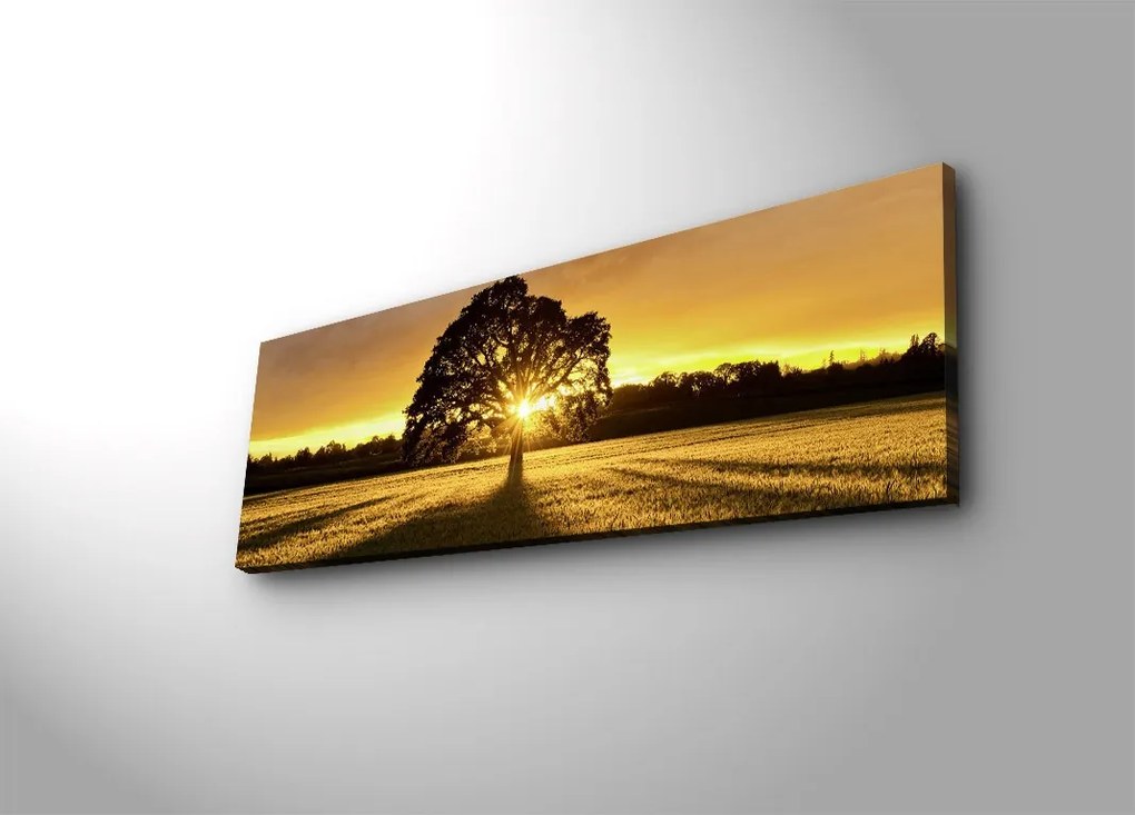 Obraz s led osvetlením Ledda Strom 90x30 cm