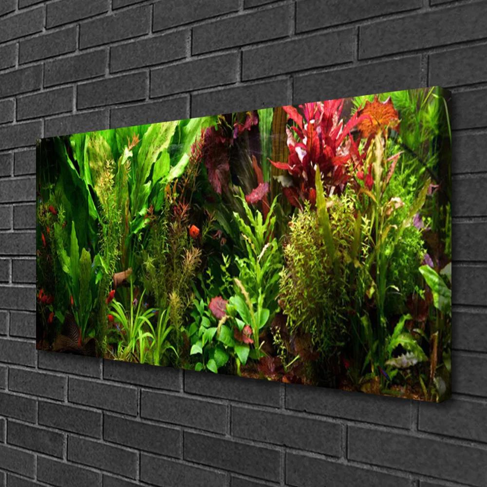Obraz Canvas Rastlina kvety príroda 140x70 cm