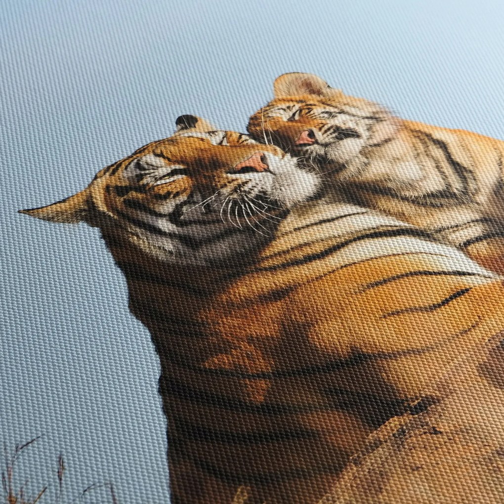 Obraz - Tigrice a jej mláďa (90x60 cm)